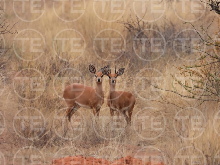 DSCN3141