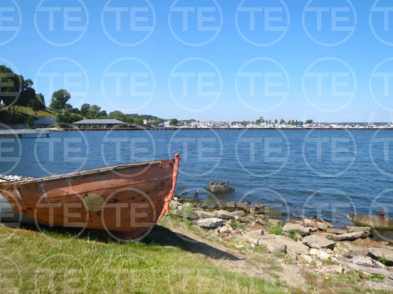 IMG_4771