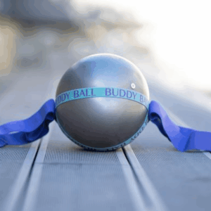 Pilates Ball Silver Gray