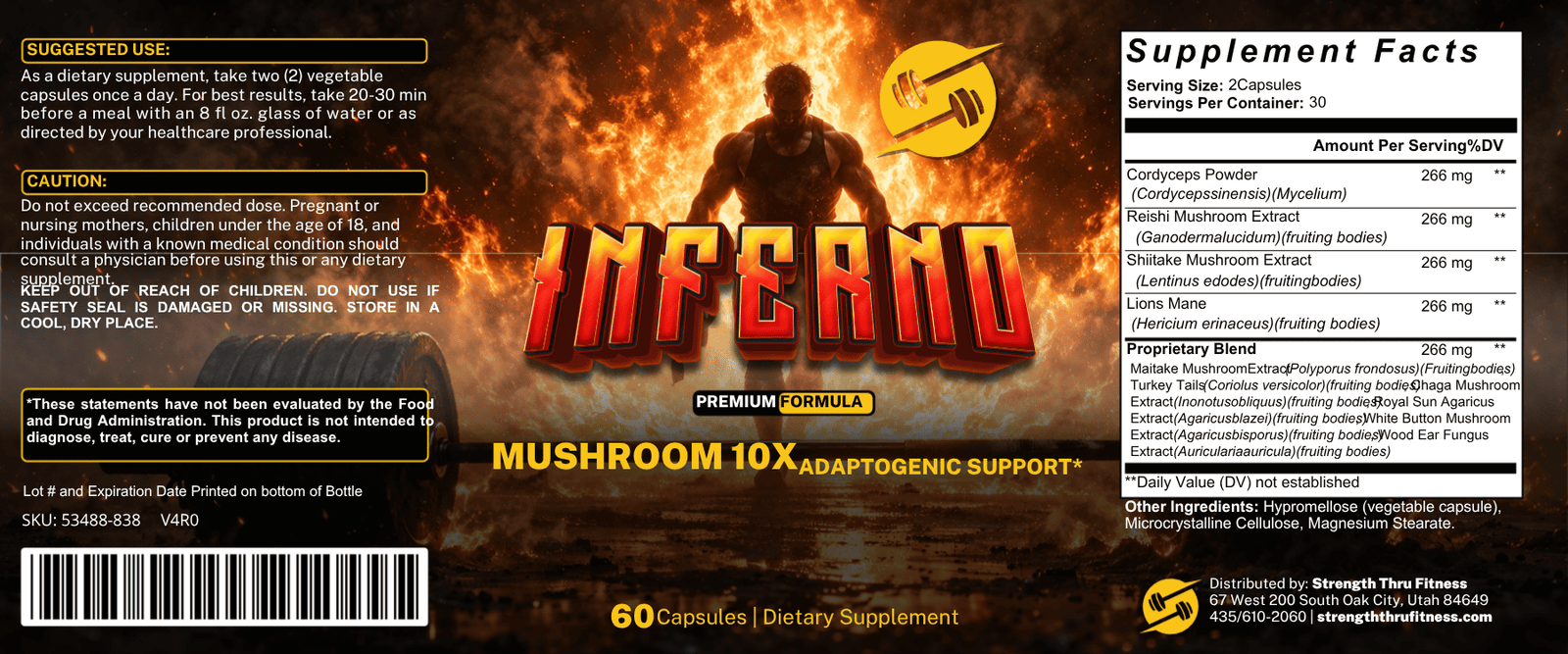 Mushroom 10X - Image 2