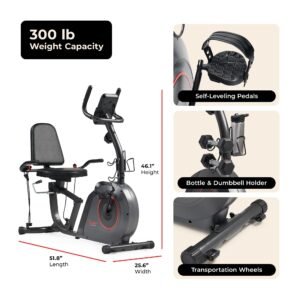 Sunny Health & Fitness Corezy 16-Level Smart Magnetic Resistance Recumbent Bike with Workout Bands - SF-RB424006