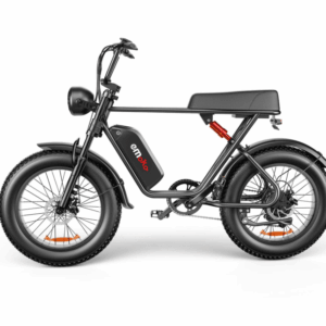 C91 - 20 Inch 20A Electric Bike ---- Purchase Style, Please Check The Details