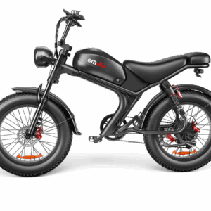 C93- Dual-drive High-speed Electric Bike